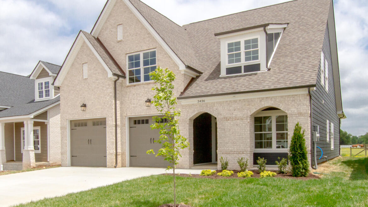 Jack at Caroline Farms